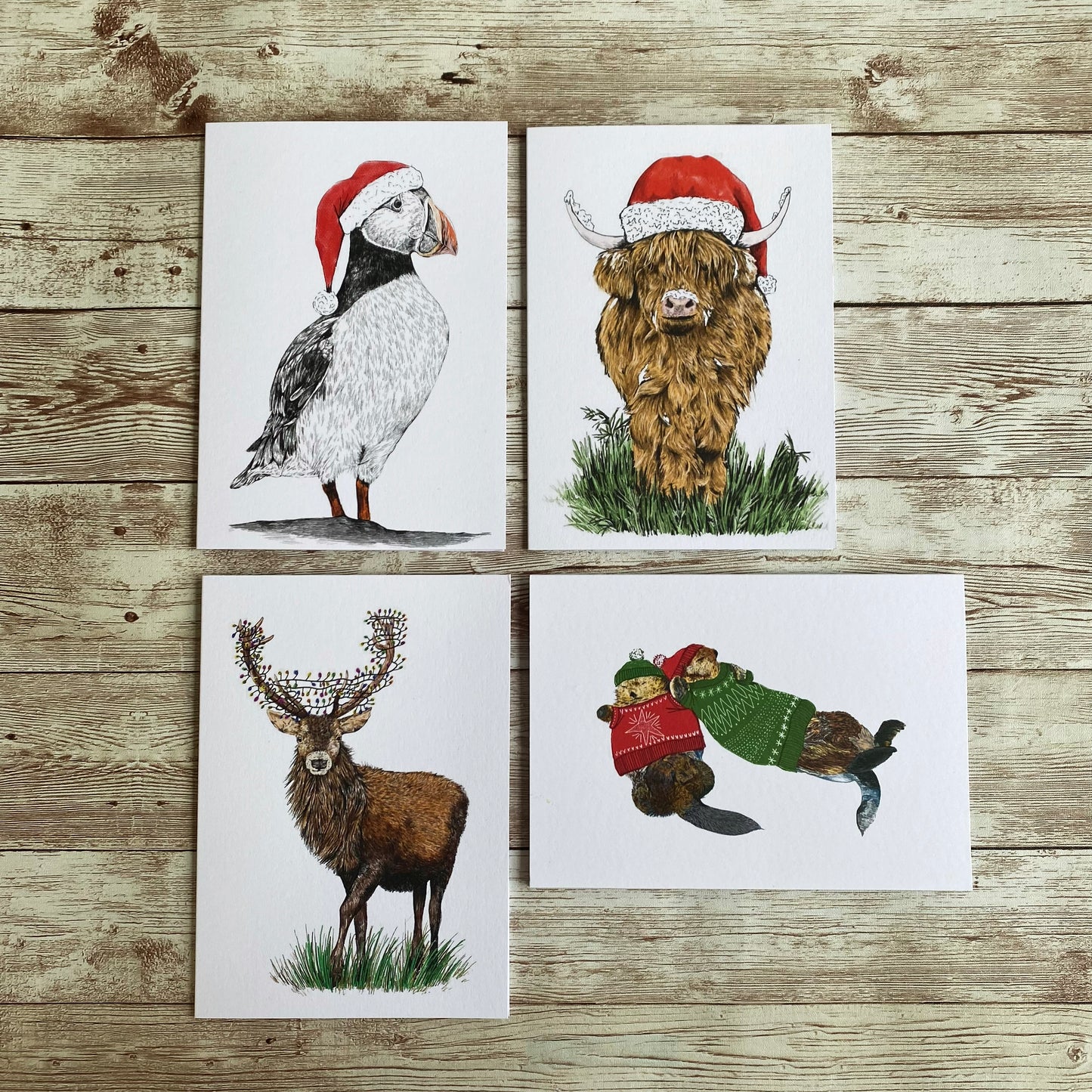 Highland Wildlife Christmas Card Set