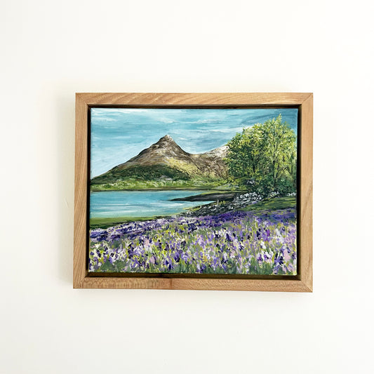 Pap of Glencoe amongst the Bluebells Original Framed Painting